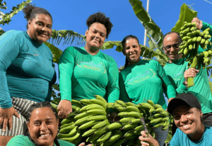 Plantar no concreto, colher futuro — A força da agricultura urbana na periferia do Recife